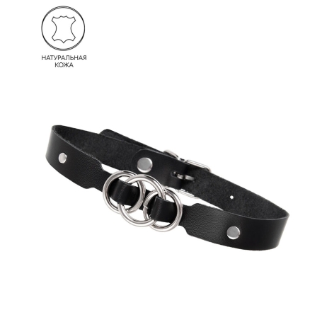 Ошейник Pecado 03119